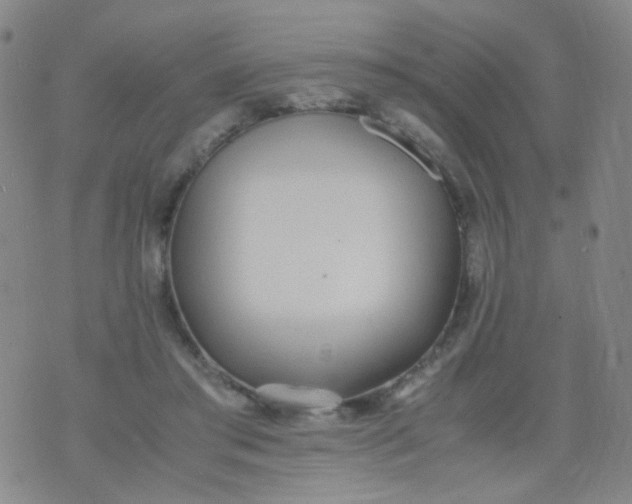 X0000070430405200606231923