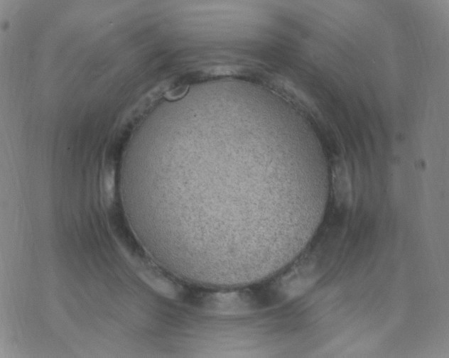 X0000070430406200606231923