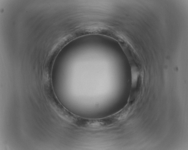 X0000070430407200606231923