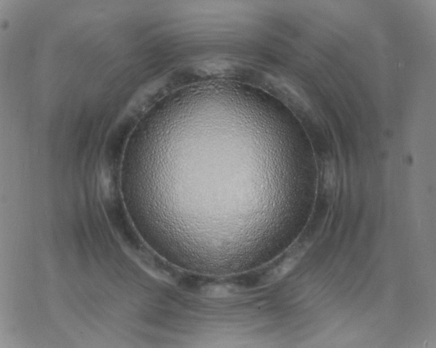 X0000070430408200606231923