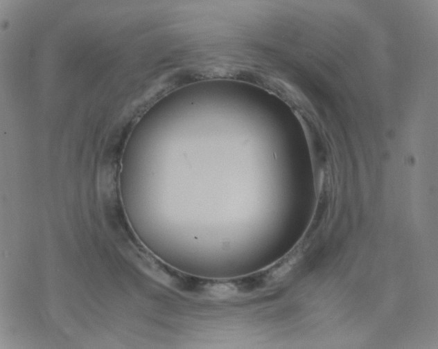 X0000070430409200606231923