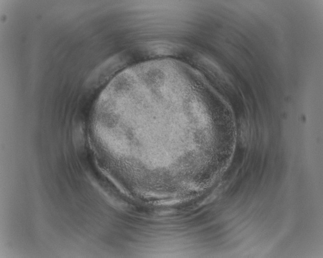 X0000070430410200606231923