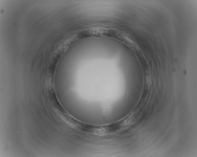 X0000070430411200606231923