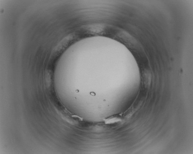 X0000070430412200606231923