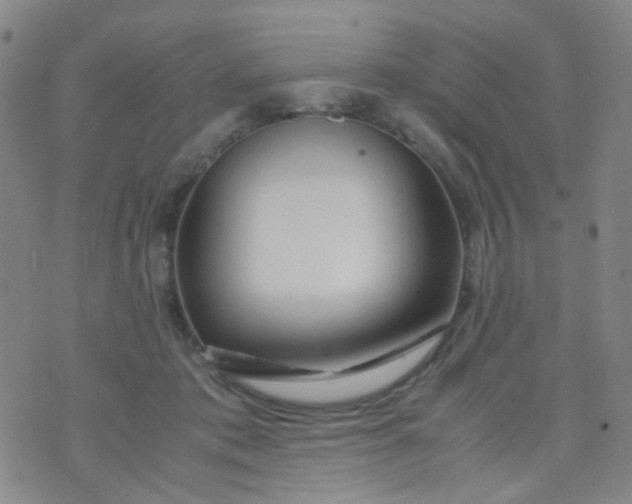 X0000070430413200606231923