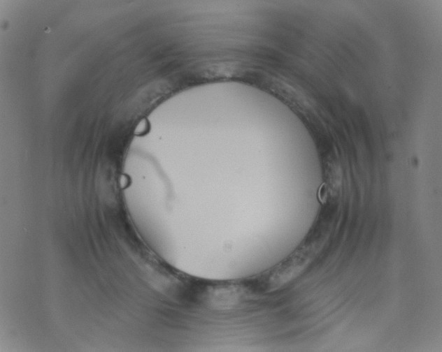 X0000070430414200606231923