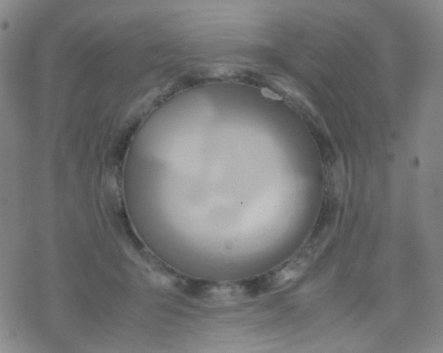 X0000070430415200606231923