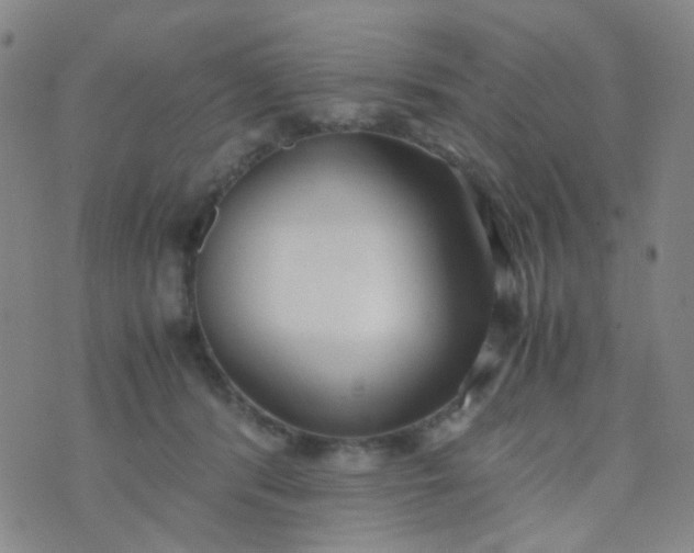 X0000070430416200606231923