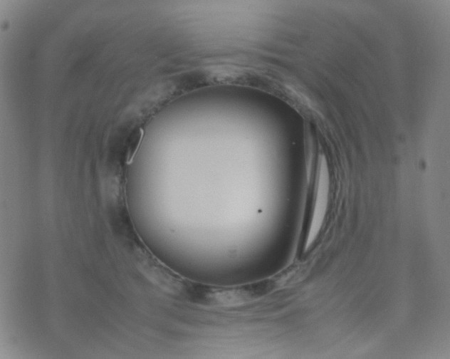 X0000070430417200606231923