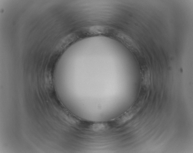 X0000070430418200606231923