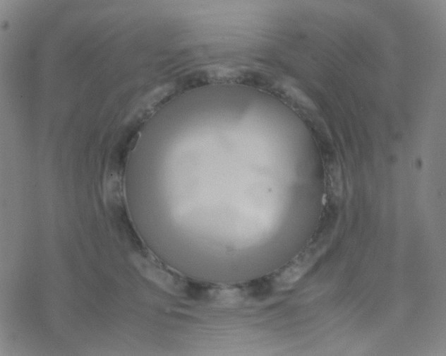 X0000070430419200606231923