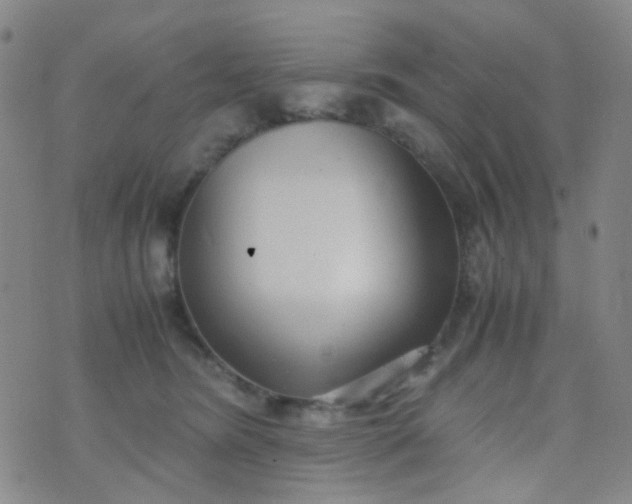 X0000070430420200606231923