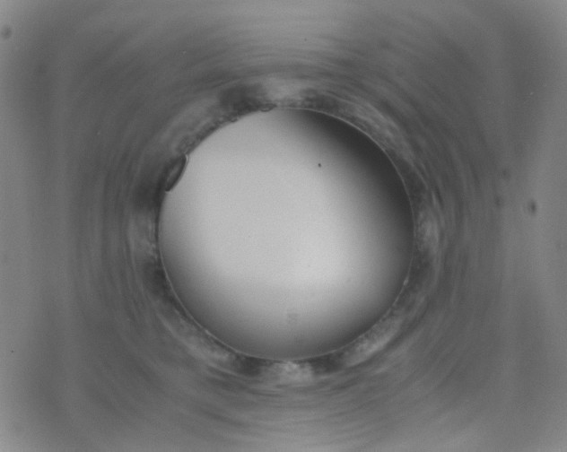 X0000070430421200606231923