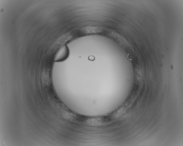 X0000070430422200606231923