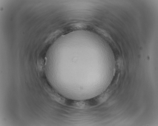 X0000070430423200606231923