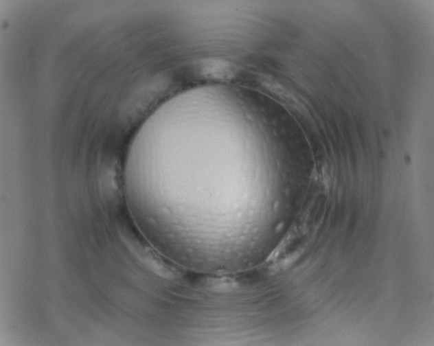 X0000070430424200606231923