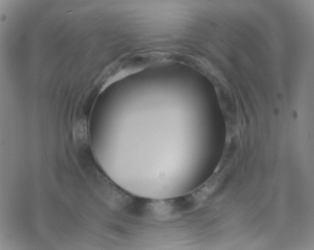 X0000070430425200606231923