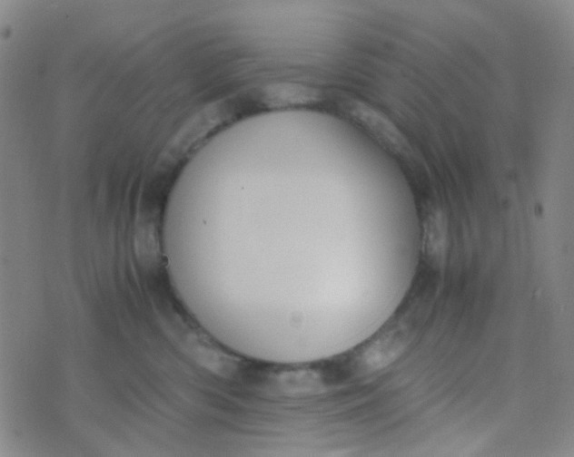 X0000070430426200606231923