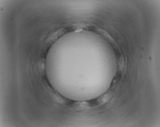 X0000070430427200606231923