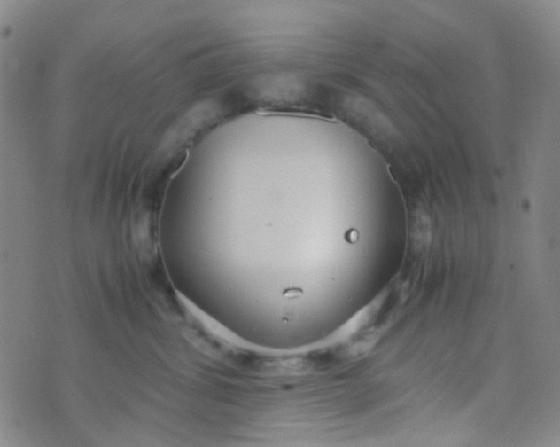 X0000070430428200606231923