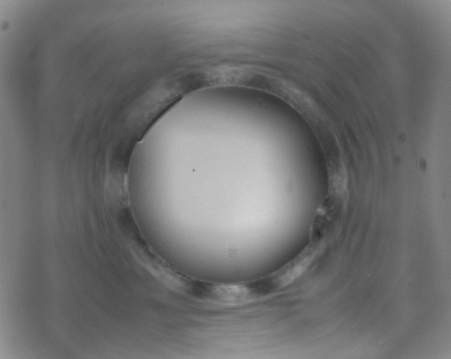 X0000070430429200606231923