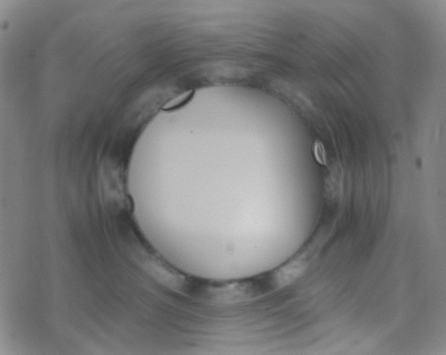 X0000070430430200606231923