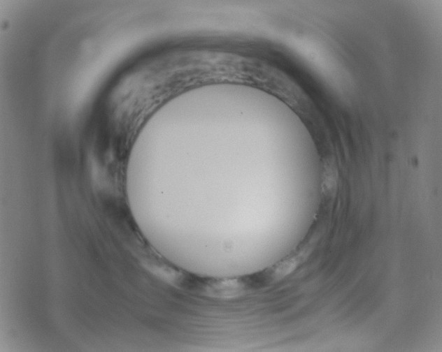 X0000070430431200606231923