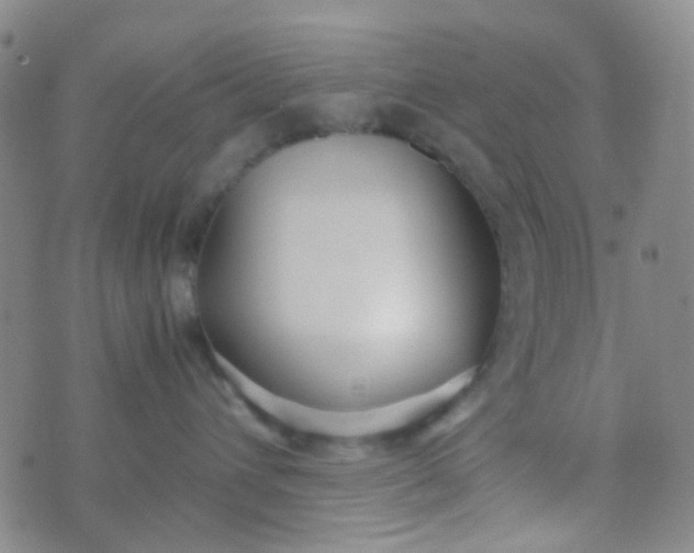 X0000070430432200606231922