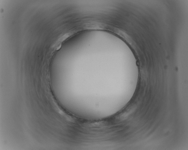 X0000070430433200606231922