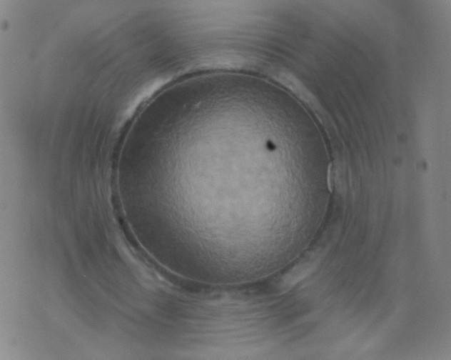 X0000070430434200606231922