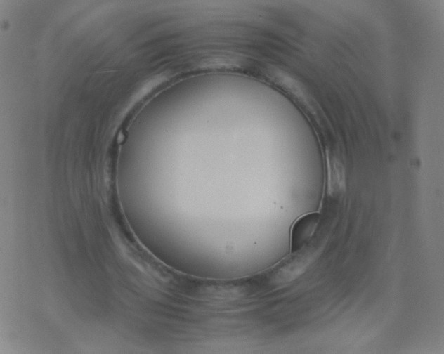 X0000070430435200606231922