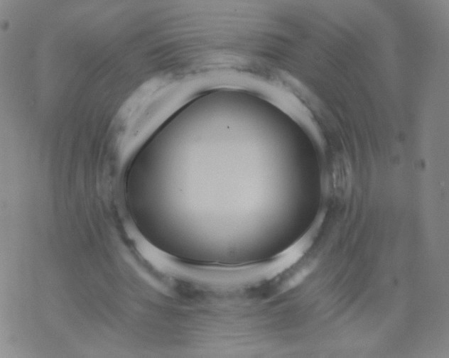 X0000070430436200606231922