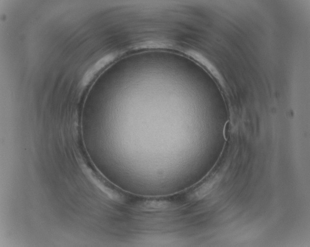 X0000070430437200606231922