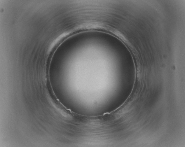 X0000070430438200606231922