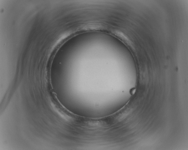 X0000070430439200606231922