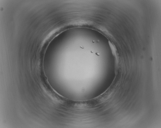 X0000070430440200606231922