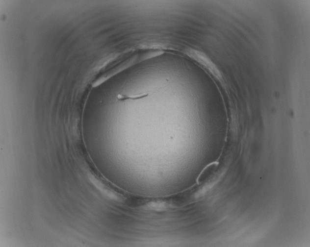 X0000070430441200606231922