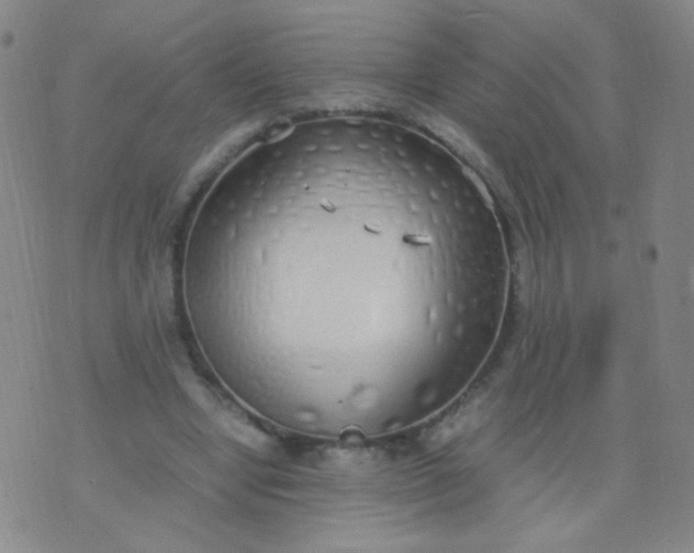 X0000070430442200606231922