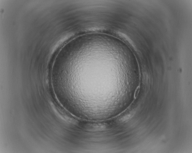 X0000070430443200606231922