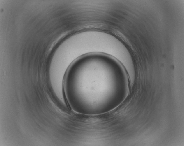 X0000070430444200606231922