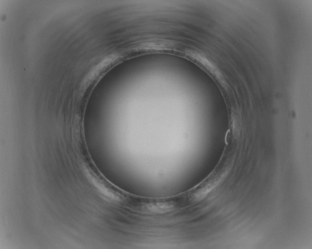 X0000070430445200606231922