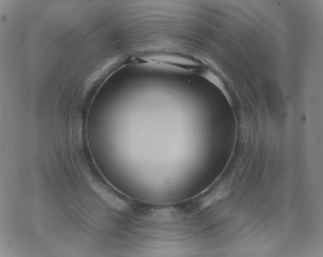 X0000070430446200606231922