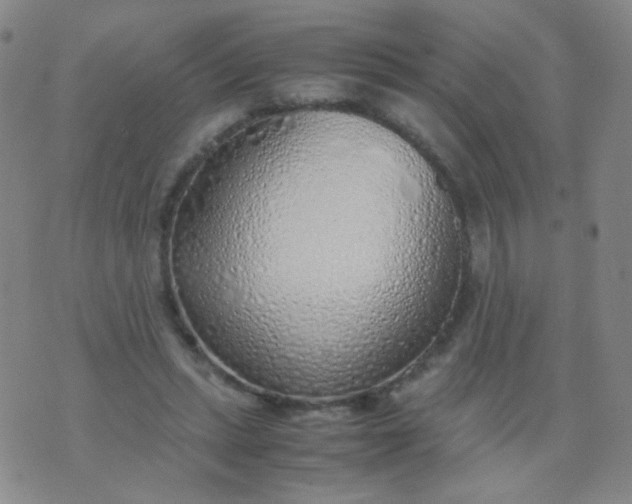 X0000070430447200606231922