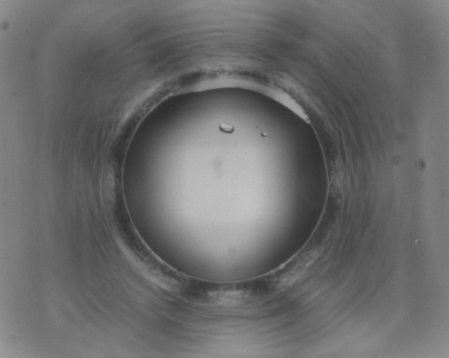 X0000070430448200606231922