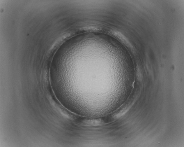 X0000070430449200606231922