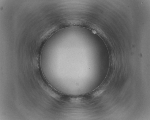 X0000070430450200606231922