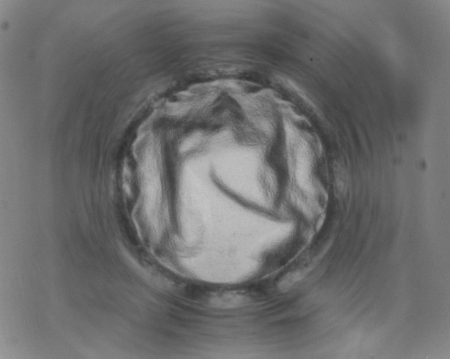 X0000070430451200606231922