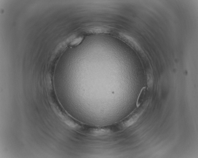 X0000070430453200606231922