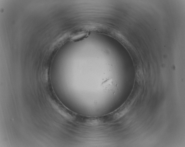 X0000070430454200606231922