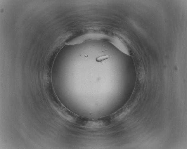 X0000070430455200606231922